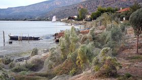 Fotograf zachytil obří pavučinu na řeckém pobřeží. Měří ohromných 300 metrů.