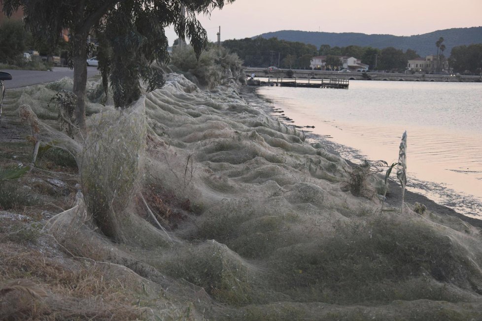 Fotograf zachytil obří pavučinu na řeckém pobřeží. Měří ohromných 300 metrů.