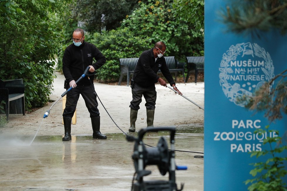 Přípravy pařížské zoo na otevření po dlouhém lockdownu (12.5.2021)