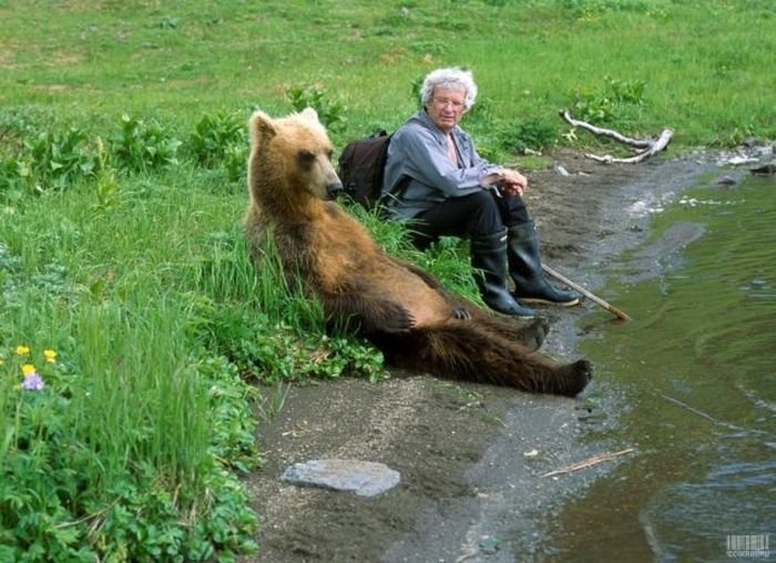 Relax s medvědem.