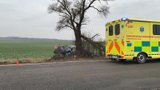 Havárie automobilu u Kladna si vyžádala lidský život. Řidič (†85) narazil do stromu