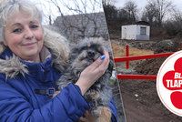 Psí koncentrák šel k zemi, majitelka hromadí psy u domu. Veterinářům vadí jen nepořádek