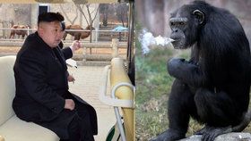 Zoologická zahrada v Pchjongjangu přitahuje tisíce návštěvníků každý den, na její rekonstrukci dohlížel i Kim Čong-un.