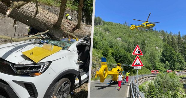 Padající strom zabil v Peci pod Sněžkou tři lidi: Policie případ odložila