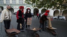 Hejtmani Petra Pecková (STAN) a Martin Netolický (ČSSD) i pražský primátor Prahy Zdeněk Hřib (Piráti) přivezli Sněmovně dar z „rozpočtového pekla“ (5. 12. 2020)