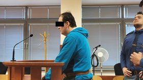 Obžalovaný Jaroslav H. znásilňoval nevlastní dceru.