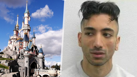 Nechutná akce britského pedofila v pařížském Disneylandu: Svatba s holčičkou (9)