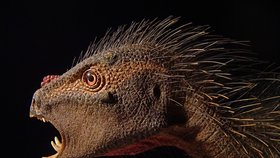 Vědci objevili upířího dinosaura: Měl zobák a tesáky