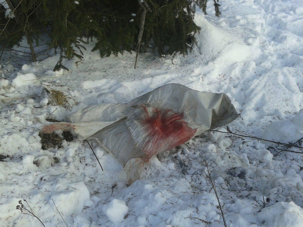 Krutý majitel praštil psa do hlavy, strčil do pytle a zakopal do hromady sněhu. Pejskovi se ale naštěstí podařilo dostat se ven.
