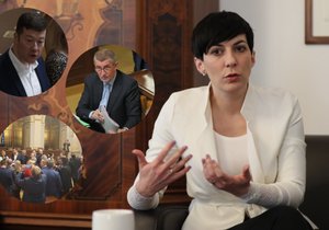 Pekarová pro Blesk: Sněmovna stojí kvůli boji Babiše o voliče. „Pokusem o moje odvolání kryjí své selhání.“