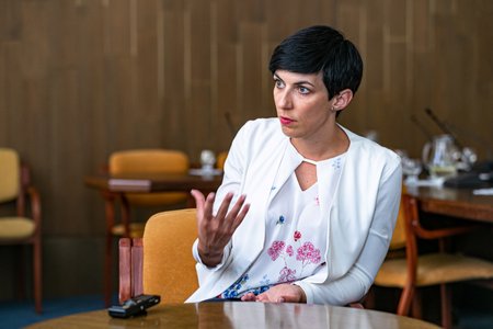 Jedna z předkladatelek novely: Místopředsedkyně TOP 09 Markéta Pekarová Adamová