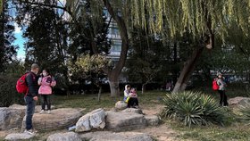 Dětská nemocnice v Pekingu zažívá velký nápor zápalu plic (27. 11. 2023).