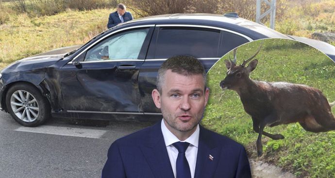 Slovenský premiér Peter Pellegrini měl cestou do  Kežmarku nehodu. Do jeho limuzíny vběhl jelen (23. 10. 2018)