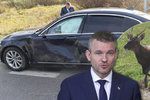 Slovenský premiér Peter Pellegrini měl cestou do  Kežmarku nehodu. Do jeho limuzíny vběhl jelen (23. 10. 2018).