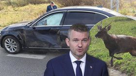 Slovenský premiér Peter Pellegrini měl cestou do  Kežmarku nehodu. Do jeho limuzíny vběhl jelen (23. 10. 2018).