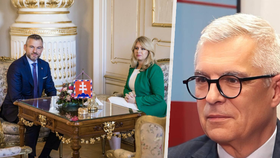 Pellegrini se v druhém kole utká s Korčokem.