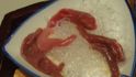 Penisová ryba neboli mořský červ s lat. názvem Urechis unicinctus jako korejská pochoutka