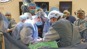 Lékaři provedli první transplantaci penisu
