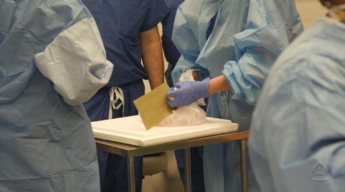 Transplantovaný orgán byl připraven před operací v sáčku s roztokem
