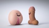 Penis a vagina ve videu vysvětlují, že v sexu ne znamená ne