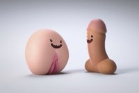 Penis a vagina ve videu vysvětlují, že v sexu ne znamená ne