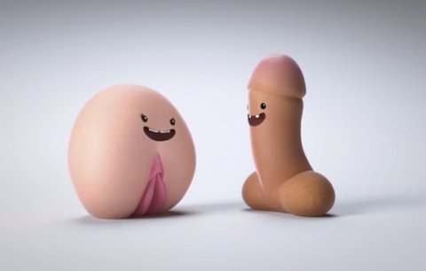 Penis a vagina ve videu vysvětlují, že v sexu ne znamená ne