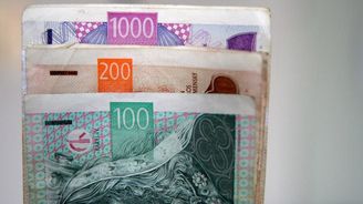 Domácnostem loni začaly růst příjmy, měsíčně se zvýšily o 369 korun