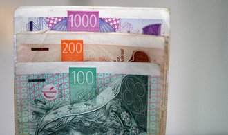 Zadlužení Čechů loni stouplo o více než 40 miliard, rostly ale i úspory
