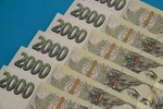 Bohatí i chudí Češi shodně tvrdí: Máme málo peněz