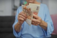 Když vlastní prostředky nestačí, pomůže kombinace dotace a úvěru