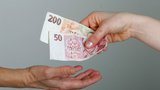 2009: O kolik se zvýší platy a nemocenská?