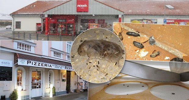 Restaurace s výkaly, pekárna plná švábů a mrtvé myši v supermarketu: Kdo hřešil?