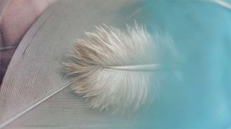 TEST: Patříte mezi vysoce citlivé lidi, nebo vás nerozhodí vůbec nic? TEST: Patříte mezi vysoce citlivé lidi, nebo vás nerozhodí vůbec nic?