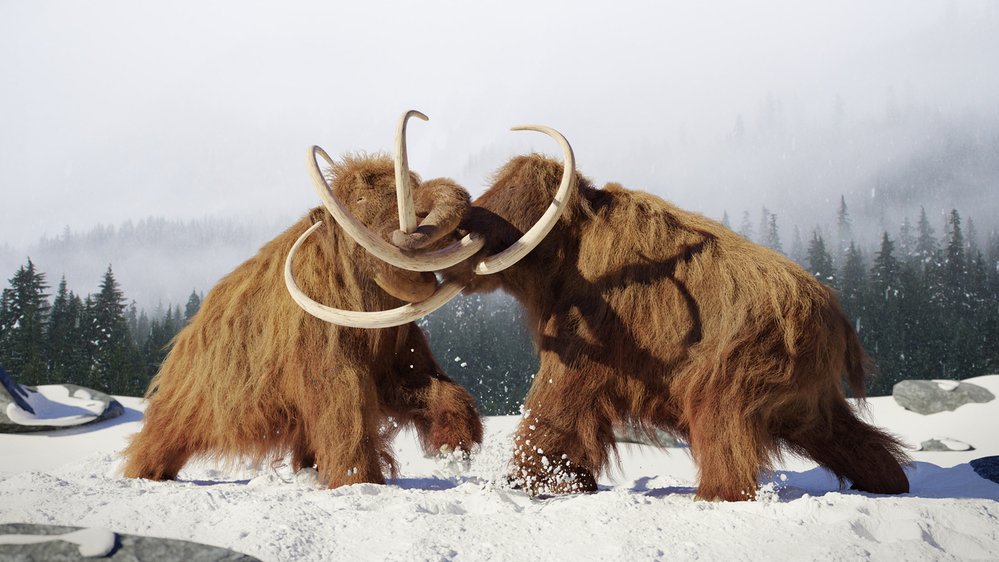 Mamuti zmizeli ze Sibiře před deseti tisíci lety, permafrost dodnes ukrývá jejich pozůstatky