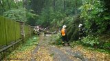 Silný vítr kácí v Česku stromy. Padají na domy i auta a zastavují vlaky