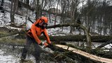 Na Pernštejně ve velkém kácí stromy: Za 100 milionů vrací zahradu o 200 let zpět
