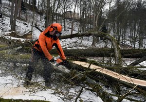 Na hradě Pernštejn v Nedvědicích začala kácením stromů obnova historické zahrady. Práce včetně restaurování historických objektů mají být dokončeny nejpozději v září 2020. Projekt obnovy zahrady si vyžádá kolem 100 milionů korun.