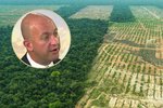 Podle ekologů EIA se český podnikatel Melka zapojil do nelegálního kácení pralesa v Peru. Čech to odmítá.