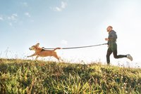 Odborník radí: Co byste měli vědět o běhání se psem a jaké pomůcky si pořídit?