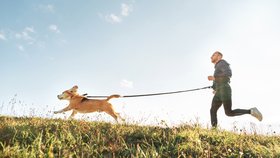 Odborník radí: Co byste měli vědět o běhání se psem a jaké pomůcky si pořídit?