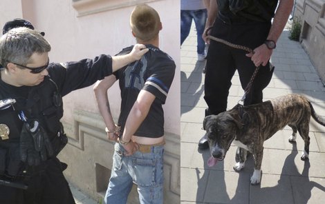 Strážníci zatkli hladového zloděje dřív, než stačil s kumpány nebohého psa zabít a upéct.