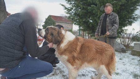 Majitelé se Týny vzdali na základě darovací smlouvy. Předali ji záchranářům z SOS for Pets