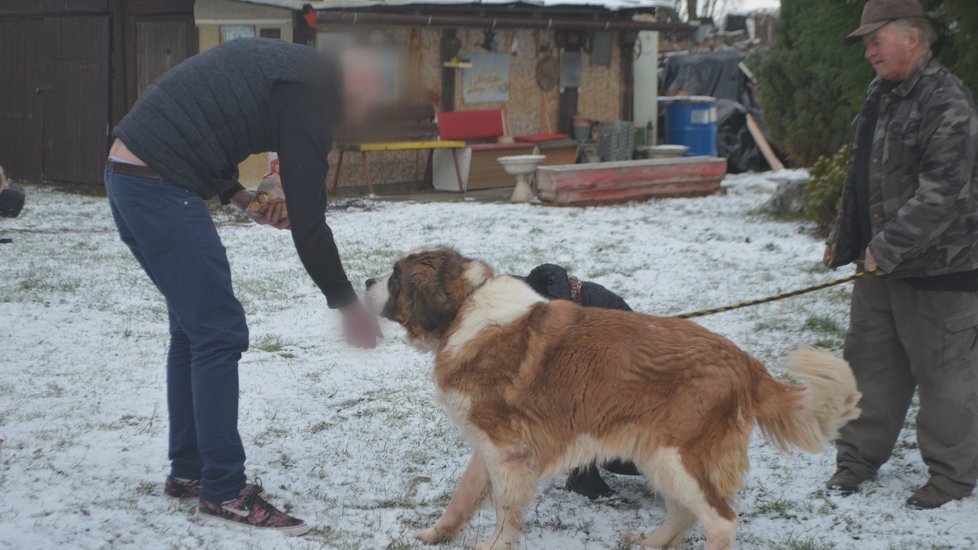 Majitelé se Týny vzdali na základě darovací smlouvy. Předali ji záchranářům z SOS for Pets