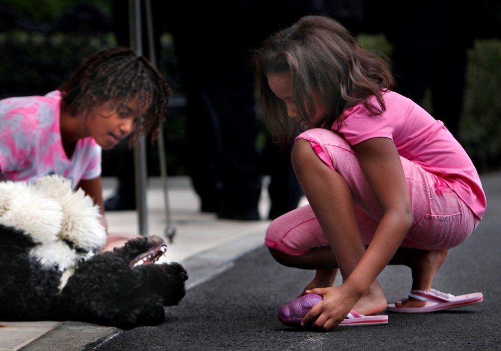 Zemřel oblíbený pes rodiny Obamových, portugalský vodní pes Bo