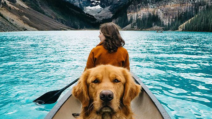 Aspen, pes cestovatel