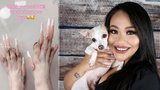 Influencerka (25) šokovala sociální síť: Svému pejskovi nalepila na drápky umělé nehty!