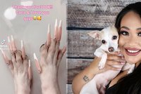 Influencerka (25) šokovala sociální síť: Svému pejskovi nalepila na drápky umělé nehty!