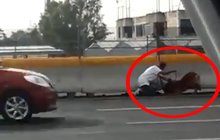 Žena se vrhla mezi auta na dálnici, aby zachránila zraněného pejska! VIDEO