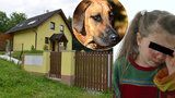 Ridgeback zohavil holčičku (3): Ukousl jí půl tváře!