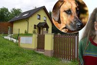 Ridgeback zohavil holčičku (3): Ukousl jí půl tváře!